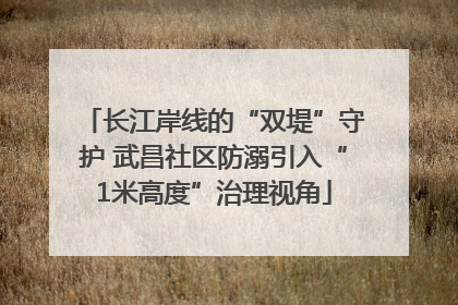 长江岸线的“双堤”守护 武昌社区防溺引入“1米高度”治理视角