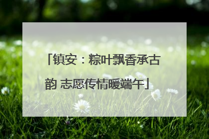 镇安：粽叶飘香承古韵 志愿传情暖端午