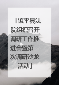 镇平县法院组织召开调研工作推进会暨第二次调研沙龙活动