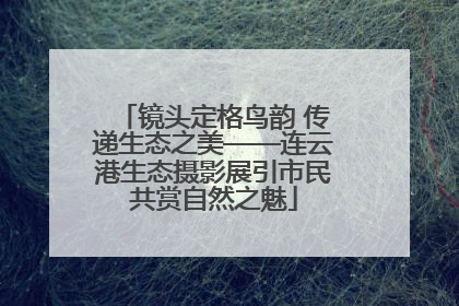 镜头定格鸟韵 传递生态之美——连云港生态摄影展引市民共赏自然之魅