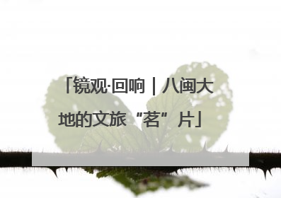 镜观·回响｜八闽大地的文旅“茗”片
