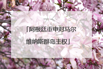 阿根廷重申对马尔维纳斯群岛主权