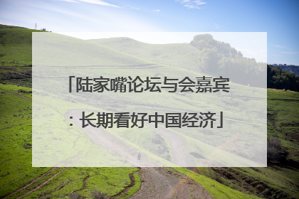 陆家嘴论坛与会嘉宾：长期看好中国经济