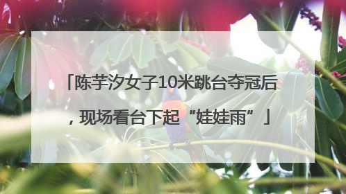 陈芋汐女子10米跳台夺冠后，现场看台下起“娃娃雨”