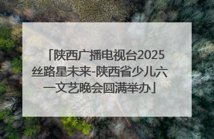 陕西广播电视台2025丝路星未来-陕西省少儿六一文艺晚会圆满举办