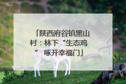 陕西府谷镇黑山村：林下“生态鸡” 啄开幸福门