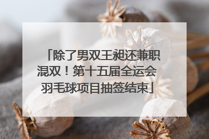 除了男双王昶还兼职混双！第十五届全运会羽毛球项目抽签结束