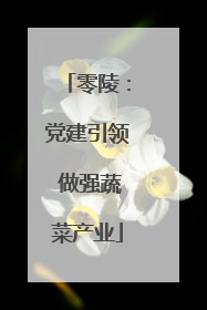 零陵：党建引领 做强蔬菜产业