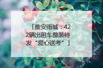 雅安雨城：422辆出租车整装待发“爱心送考”
