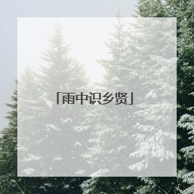 雨中识乡贤