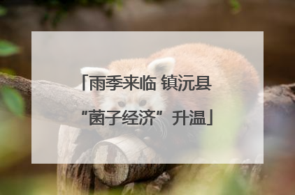 雨季来临 镇沅县“菌子经济”升温