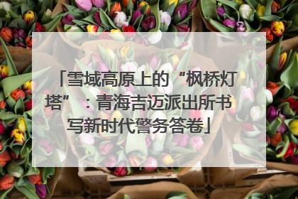 雪域高原上的“枫桥灯塔”：青海吉迈派出所书写新时代警务答卷