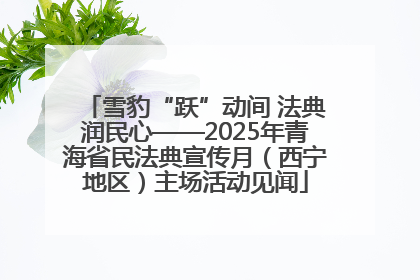 雪豹“跃”动间 法典润民心——2025年青海省民法典宣传月（西宁地区）主场活动见闻