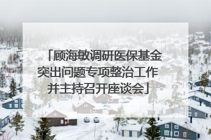 顾海敏调研医保基金突出问题专项整治工作并主持召开座谈会