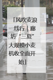风吹麦浪一线行｜廊坊“三夏”大规模小麦机收全面开始