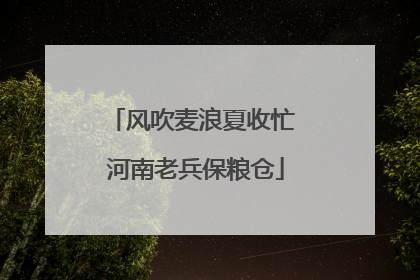 风吹麦浪夏收忙 河南老兵保粮仓