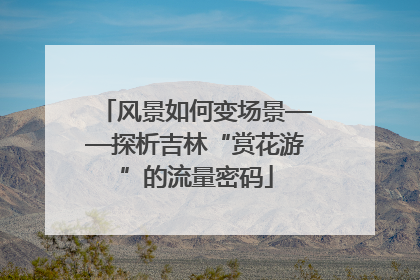 风景如何变场景——探析吉林“赏花游”的流量密码