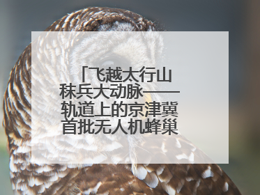 飞越太行山 秣兵大动脉——轨道上的京津冀首批无人机蜂巢投入汛期实战