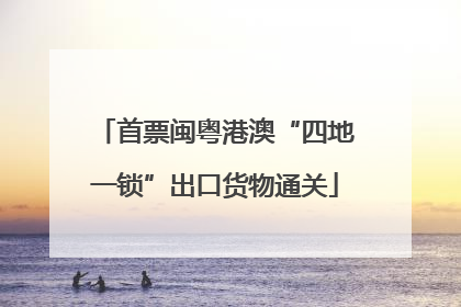 首票闽粤港澳“四地一锁”出口货物通关