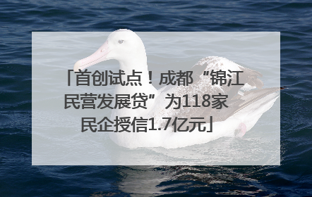 首创试点！成都“锦江民营发展贷”为118家民企授信1.7亿元