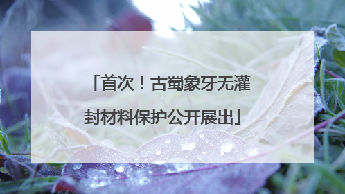 首次！古蜀象牙无灌封材料保护公开展出