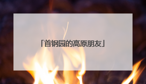 首钢园的高原朋友