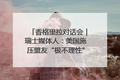 香格里拉对话会｜瑞士媒体人：美国施压盟友“极不理性” 欧洲国家无意与中国“脱钩断链”