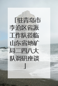 驻青岛市李沧区省派工作队莅临山东省地矿局二四八大队调研座谈