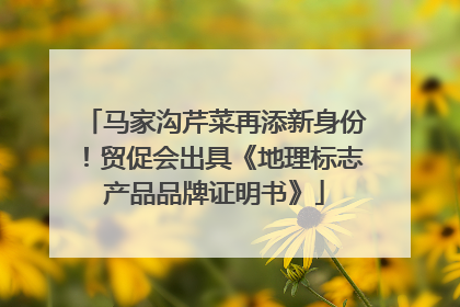 马家沟芹菜再添新身份!贸促会出具《地理标志产品品牌证明书》