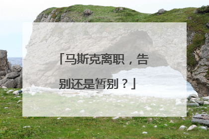 马斯克离职，告别还是暂别？