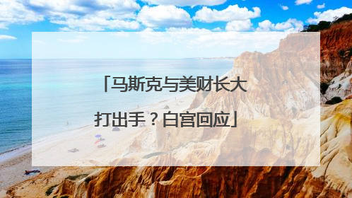 马斯克与美财长大打出手？白宫回应