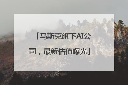 马斯克旗下AI公司，最新估值曝光