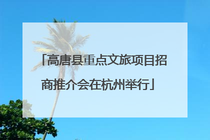 高唐县重点文旅项目招商推介会在杭州举行