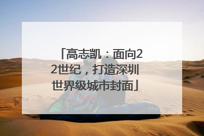 高志凯：面向22世纪，打造深圳世界级城市封面