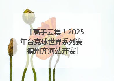高手云集！2025年台克球世界系列赛-德州齐河站开赛