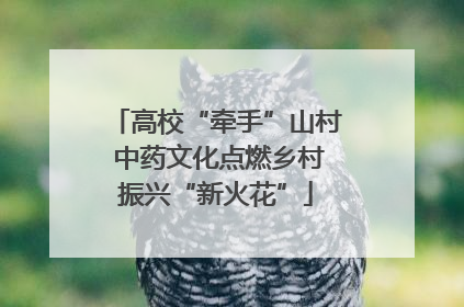 高校“牵手”山村 中药文化点燃乡村振兴“新火花”