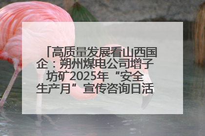 高质量发展看山西国企：朔州煤电公司增子坊矿2025年“安全生产月”宣传咨询日活动亮点纷呈