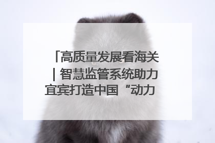 高质量发展看海关｜智慧监管系统助力宜宾打造中国“动力电池之都”