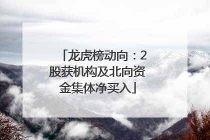 龙虎榜动向：2股获机构及北向资金集体净买入