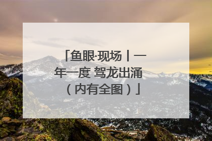 鱼眼·现场丨一年一度 驾龙出涌（内有全图）