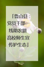 鲁山县：党员干部一线助农耕 高校师生宣传护生态