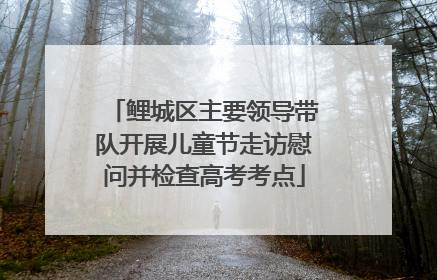 鲤城区主要领导带队开展儿童节走访慰问并检查高考考点