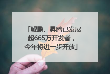 鲲鹏、昇腾已发展超665万开发者，今年将进一步开放