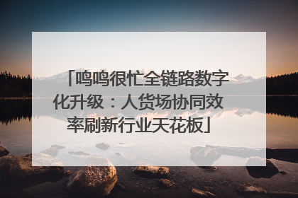 鸣鸣很忙全链路数字化升级：人货场协同效率刷新行业天花板