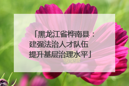 黑龙江省桦南县：建强法治人才队伍 提升基层治理水平