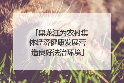黑龙江为农村集体经济健康发展营造良好法治环境