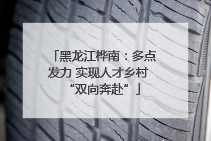 黑龙江桦南：多点发力 实现人才乡村“双向奔赴”