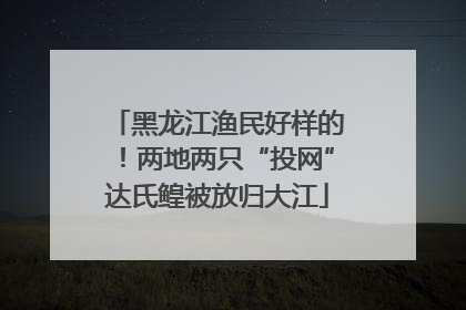 黑龙江渔民好样的！两地两只“投网”达氏鳇被放归大江