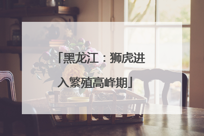 黑龙江：狮虎进入繁殖高峰期