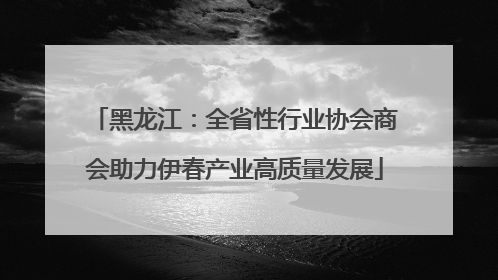 黑龙江：全省性行业协会商会助力伊春产业高质量发展